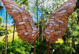 Hotel Fazenda Serraverde (1)