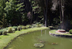 Mosteiro de São João - campos do Jordão (3)