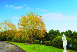 Palácio Boa Vista - Campos do Jordão (6)