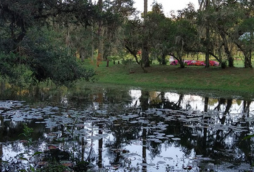 Parque Lagoinha - Campos do jordão (2)
