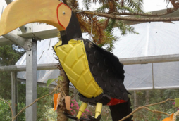 Parque Lagoinha - Campos do jordão (4)